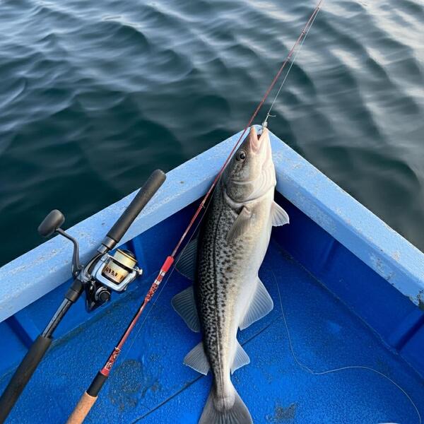 Gallery a06223 yi1bzbad