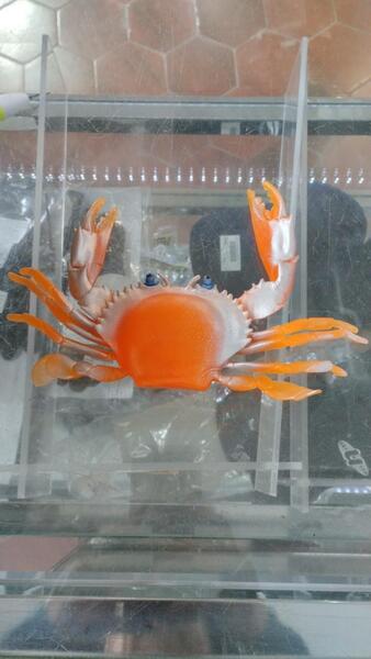 Gallery a04821 zggl5ltg