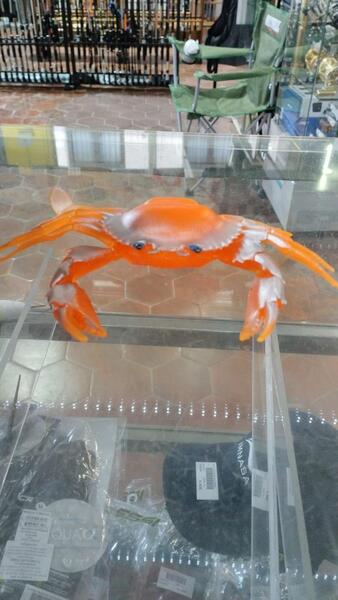 Gallery a04821 jmjl9ldp