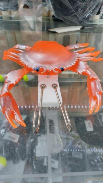 Gallery a05423 wgjnopuw