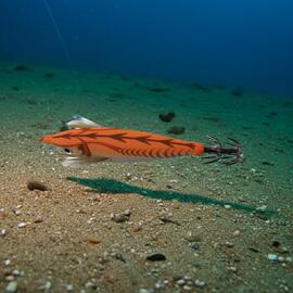 Thumb a04544 9llqtgtm