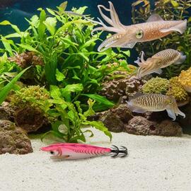 Thumb a05425 wwwr1wec