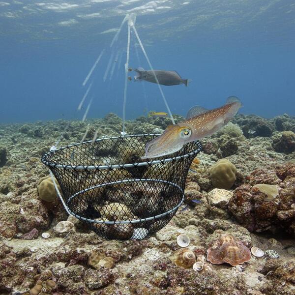 Gallery a06646 jb0j02ti