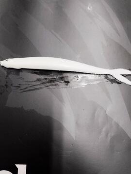 Vinilo Long Minnow 160 ( 5 UNIDADES)