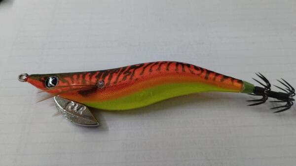 Gallery a05939 wwkskupi