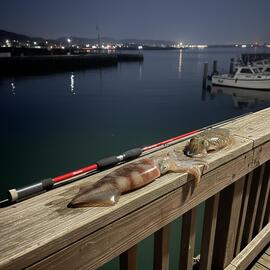 Caña RED SQUID 2.47m(1.8-3.5)EGI