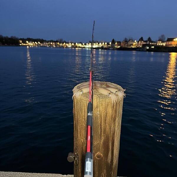 Gallery a06546 tb76256v