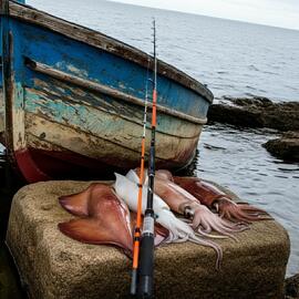 Caña SQUIDER 210m EGI 1.5-3.5