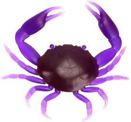 Cangrejo  CRAB S PÚRPURA