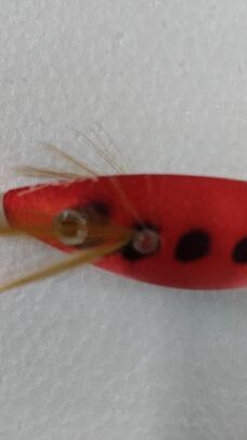 Señuelo Calamar BEGIX SS-RED DOTS NATURAL.