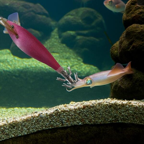 Gallery a06757 71fm6ct1