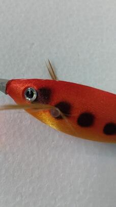 Señuelo Calamar BEGIX S-ORANGE DOTS NAT.