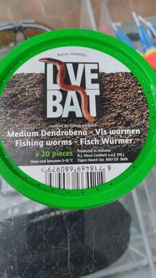 Lombriz para Truchas (Gusano de Tierra) SPUNCULOS NUDUS